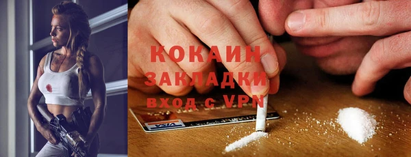 соль ск Алексин