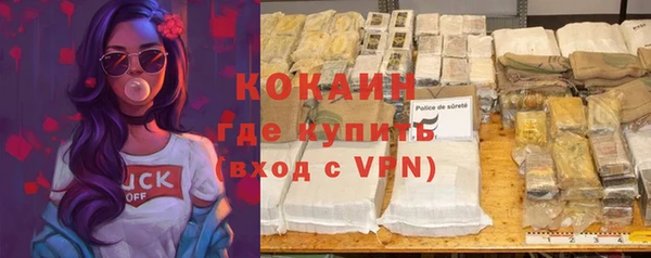 соль ск Алексин