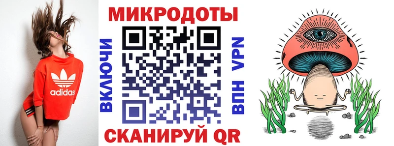 Галлюциногенные грибы Psilocybe Салехард
