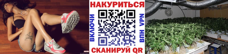 Канабис гибрид  Салехард 
